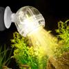 Colorful Submersible Fish Lamp USB Fish Tank Spotlight LED Aquarium Spotlight  Fish Tank