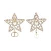 Resin Crystal Earrings Women's Gold E4399WOMCY03S