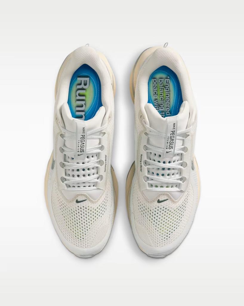 IQ0307-094 Nike Pegasus Premium Running Is Mental (Men's)
