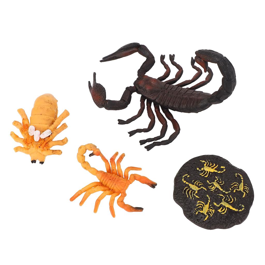 4pcs Simulation Animal Model Scorpion Growth Ornament Children Cognitive Growth Cycle Animal Toys for Children