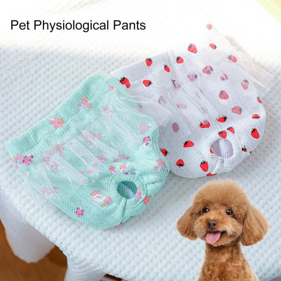Yousheng Pet Sanitary Pants Lace Washable Strawberry/Flower Pattern Polyester Female Dogs Short Diapers Physiological Pants Pet Supplies