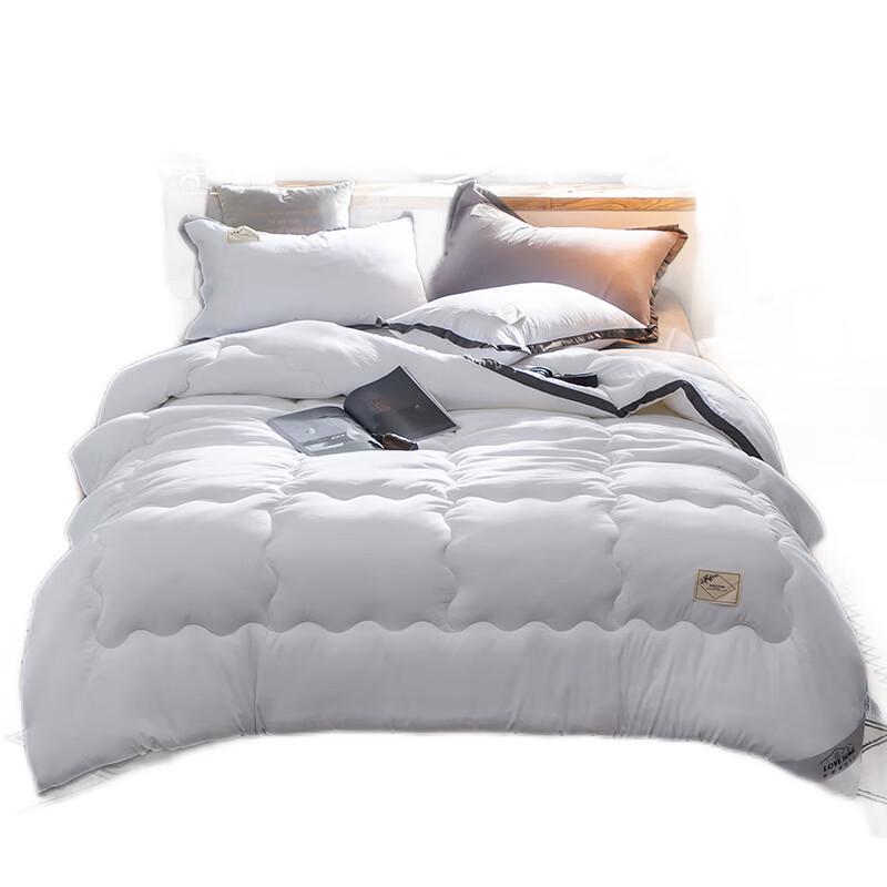 CHANSI Nordic Style Solid Winter Quilt