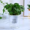 Self Watering Plant Pot Flower Pot with Deep Clear Reservoir Modern Planter with Wick Ropes for Houseplants Indoor Pothos