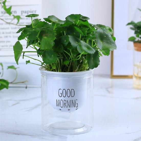 Self Watering Plant Pot Flower Pot with Deep Clear Reservoir Modern Planter with Wick Ropes for Houseplants Indoor Pothos