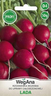 Early Radish Lada 10g Radish Seeds -