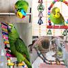 Parrots Cage Ladder Swing Set Wooden Swing Standing Supplies Bridge Training Parrots Standing Supplies