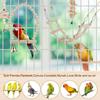 Bird Parrot Swing Toys, Chewing Standing Hanging Perch Hammock Climbing Ladder Bird Cage Toys for Budgerigar, Parakeet, Conure, Cockatiel, Mynah