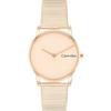 CK Feel 30mm Gold Dial 25100036 Wrist Watch