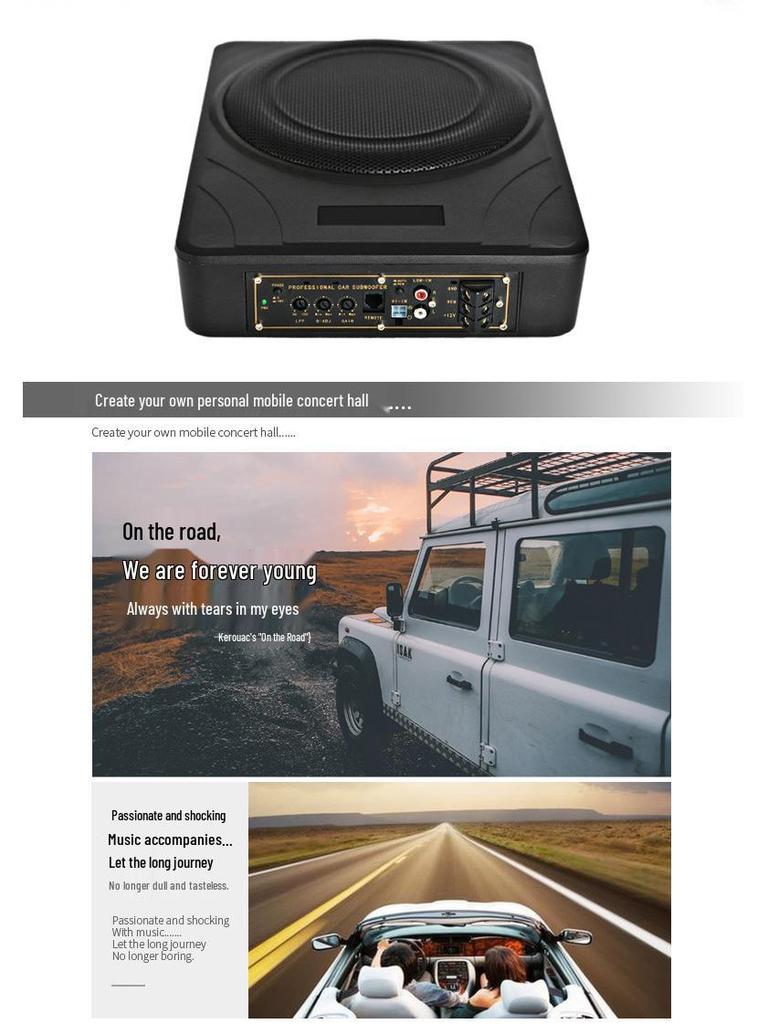 10" Ultra-thin Active Subwoofer for SEAT Cars