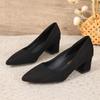High Heels Women's 2025 New Women's Shoes Pointed Toe Shallow Mouth Shoes Women's Thick Heel Fashion Shoes