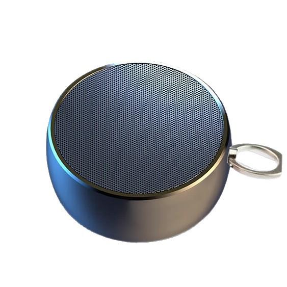 BS02 High-Volume Portable Bluetooth Speaker with Subwoofer for Indoor & Outdoor Use