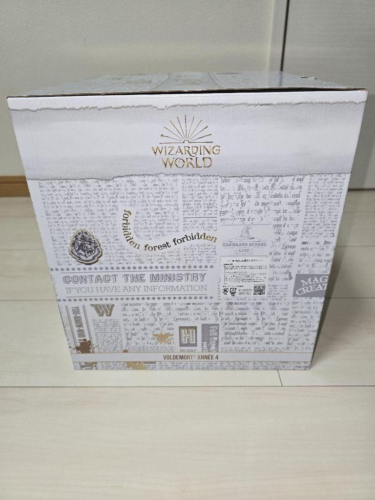 [USED] Special Price Voldemort Figure