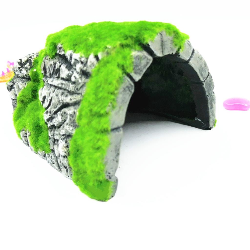 Reptilien-Box-Schildkröte, die das Nest vermeidet, Höhlenlandschaft, Spinnenschildkröte, realistische Mooshöhle, Beflockung Tur