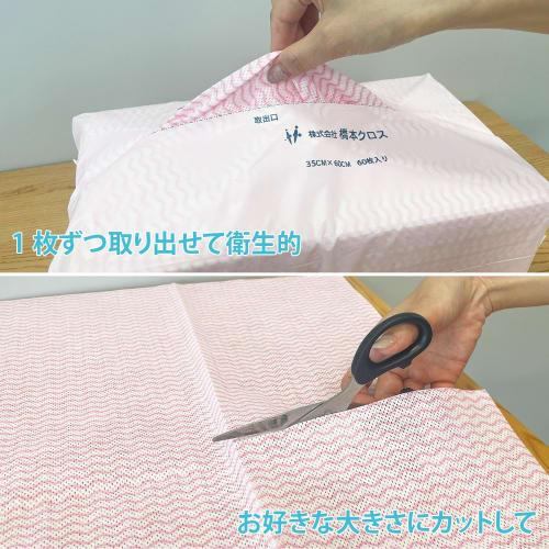 Hashimoto Cloth Counter Cloths, Thin, 100 Sheets (35 X 60 Cm), Green, 2UG, Disposable, Absorbent, Quick-Drying, Hygienic, for Dish Wiping, Home and Co