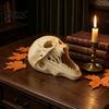Accesorii de petrecere – Accesorii de Halloween