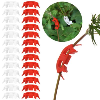 כלי גינון – סרטים דביקים ותופסנים לצמחים