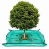 Green Landscape Pruning Tarp 100 X 100 Cm Tree Trimming Tarp Garden Debris Tarp  Leaf Collection