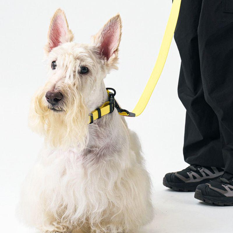 MUNIKUND Water-Block Leash Yellow