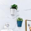 Wall-Mounted Semi-Circular Hydroponic Flower Pot - Indoor/Outdoor Punch-Free Design