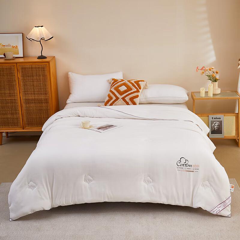 

Beggman Cloud Soft Antibacterial Winter Quilt