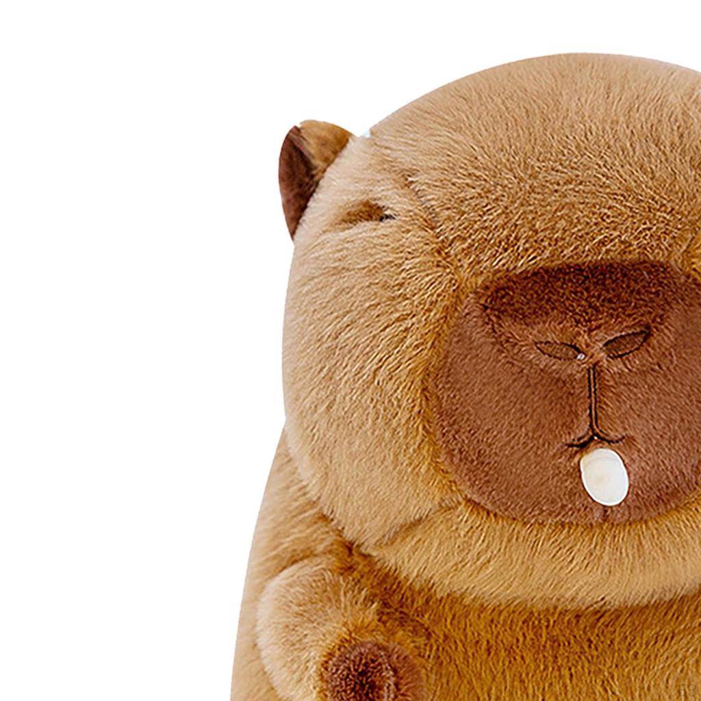 Bubble Capybara Plus Toy Stuffed Kids Room Decor Hugging Plush Doll for Teens