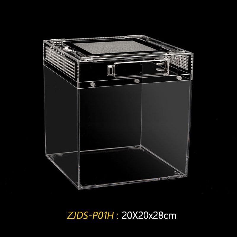 Acrylic Terrarium for Reptiles and Insects