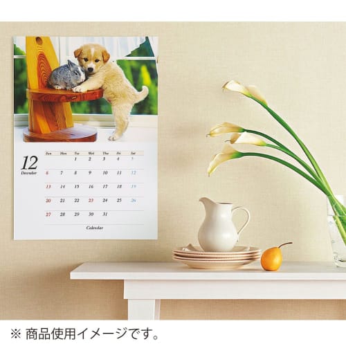 KOKUYO Copy Paper A4 Paper Thickness 0.22mm 50 Sheets Photo Matte Paper Inkjet Printer Paper KJ-M14A4-50