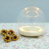 Decorative Clear Glass Dome Display Case for Immortal Flowers Glass Cover Adornment with Wooden Base Home Coffee Shop Gift