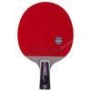 Double Fish 6-Star Professional Table Tennis Racket