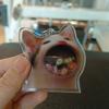 Fashion Greedy Cat Shaker Keyring Bag Charm Acrylic Pendant Keychains Car Keys Holder Handbag Decorations for Boys Girls