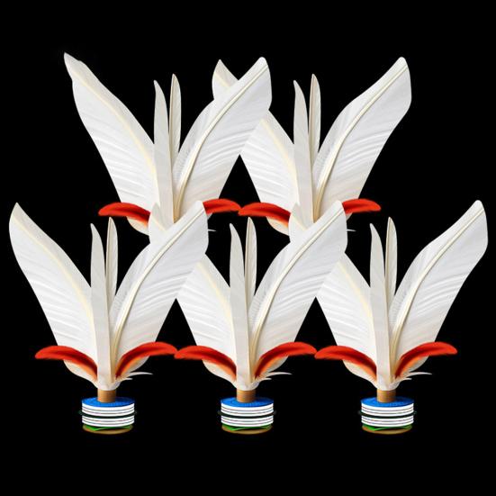 1/2/5 Pz Volani con Piume Leggeri Portatili Ispessiti Volani con Piume Colorate Sport all'Aperto con i Piedi