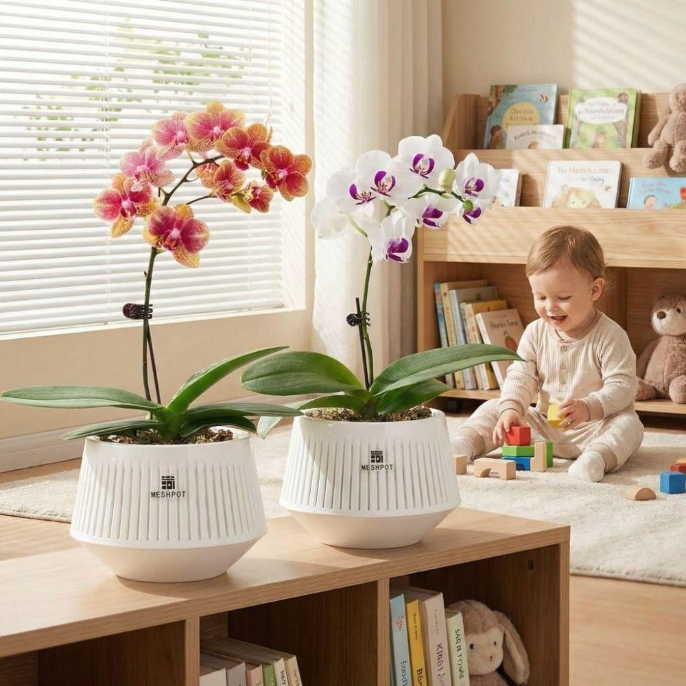Moisturizing Meshpot Orchid Pot Thickening Root Control Flowerpot Growing Pots Bonsai Planting