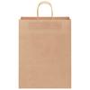 Kraft Paper Bags 50 Pcs. With Handles Brown 32X12X42 Cm