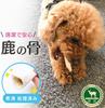 Zasshu Deer Bone Dog Toy Deer Antler Small Dogs Medium Dogs Domestic Deer Antler Dental Care Gum Deer Antler Natural Toothpaste Sika Deer Stick Bone
