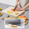 Kobach Anti-bacterial Stainless Steel Double-Sided Cutting Board