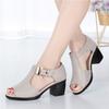 20 Summer New Fish Mouth Fashion Casual Mom Coarse Heel Buckle Sandals Women's Large Size Mom Sandals Women's Shoes