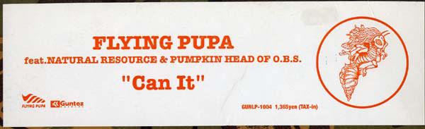 

12inch Record FLYING PUPA Can It GUNLP1004 GUNTEZ 1998 Japan Japanese Club Dance Used