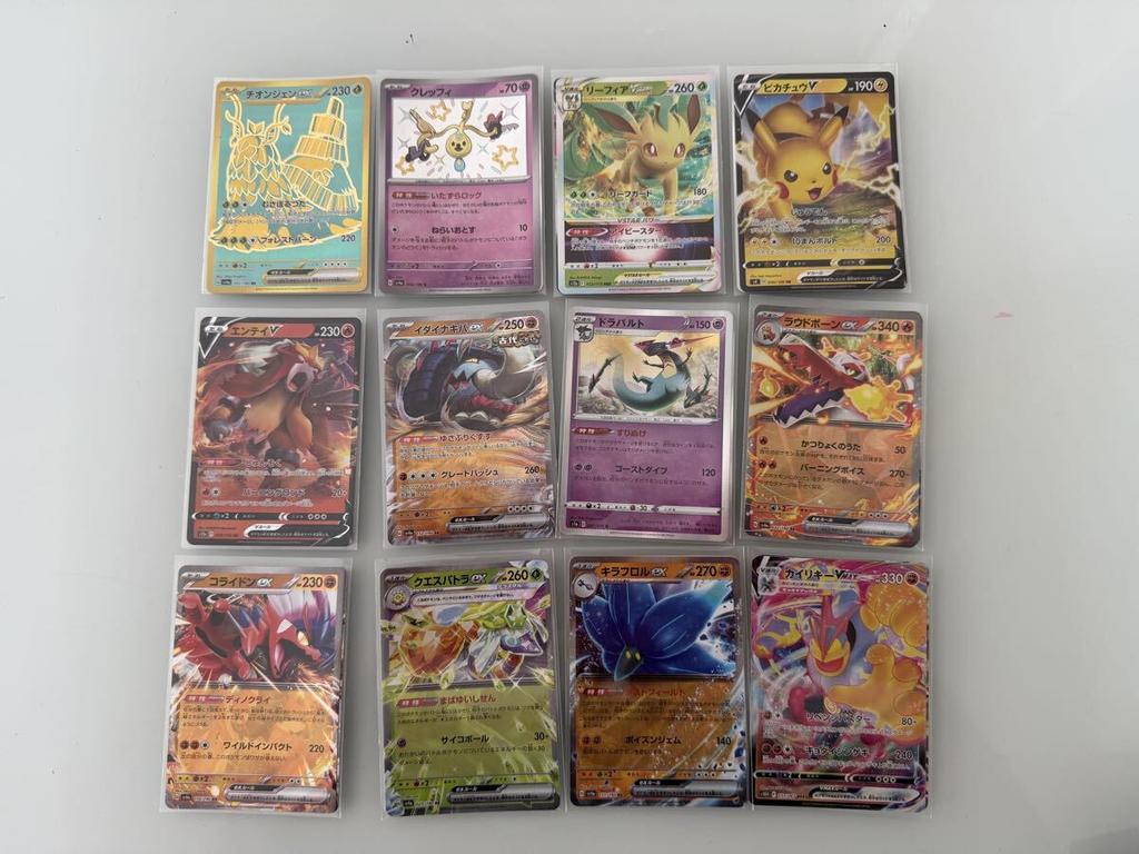 Pokemon Cards Ex V VMAX Bundle Set of 12 Cards