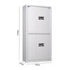 Tiger Brand Fingerprint Password Steel Security & Filing Cabinets