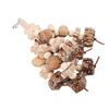 Wooden Parrot Chewing Toy Boredom Relieving Nuts Hanging Bird Foraging Chew Toy for Parrot Cage