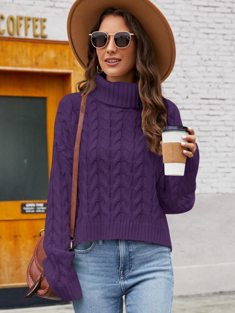 

Толстые жареные пончики Свитер с высоким воротом Однотонный повседневный свитер Женский короткий свободный свитер-пуловер XL фиолетовый