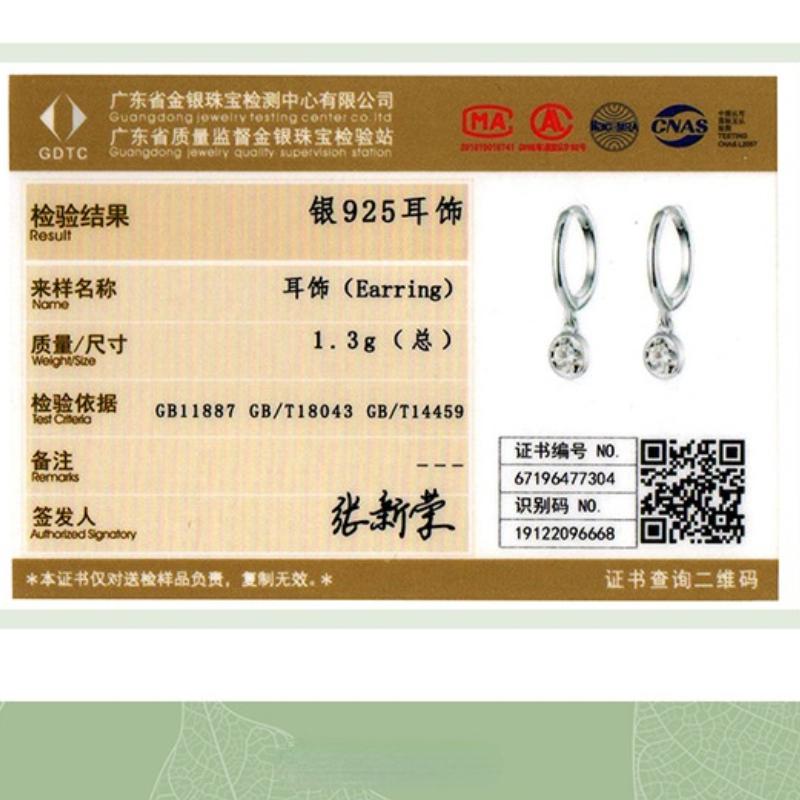 Lindon 925 Sterling Silver Zircon Earrings Drop Earrings For Women Wedding Party Gifts