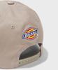 DICKIES D Artwork Ball Cap Beige