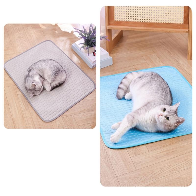Latex Backed Dog Pad with Warm Season Comfort, Soft Indoor Layer Finish, Stable 55 x 70 cm Summer Size for Homes