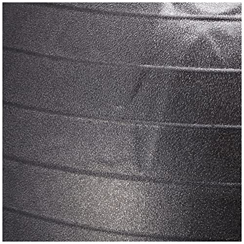 La-VIE Posture Yoshio Gym Ball with Rings, 65cm Black, Balance Ball Chair with Air Pump, 3B-3123 [Genuine Manufacturer Product]