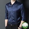 Premium Mulberry Silk Long-Sleeve Men's Shirt - Non-Iron, Solid Color, Business Casual for Autumn and Spring