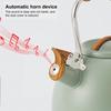 Stainless Steel Whistling Tea Kettle 3L Capacity Flat Bottom Teapot  Home Use