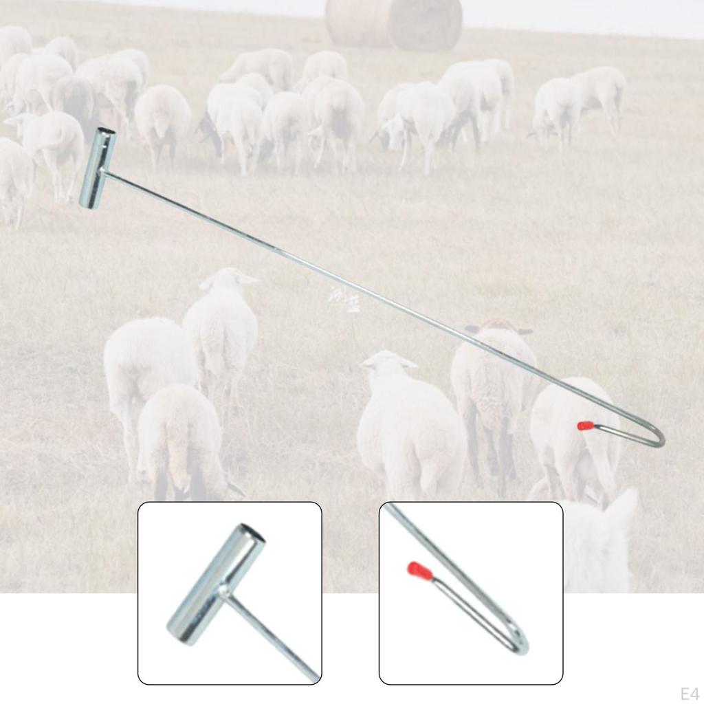 Chytací kleště na ovce Farmářské vybavení Těžká zátěž pro zvířata Zahrada Hospodářská zvířata