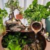Eco-Friendly Ceramic Fish Tank Water Feature & Garden Ornament Filter