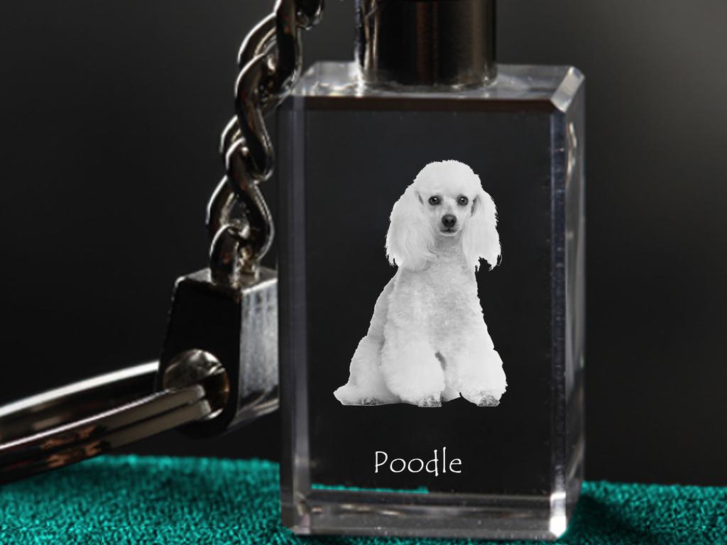 Poodle - Crystal Key Ring with Dog Photo, Illuminated Key Ring, Unique Gift by Art-Dog Brand
